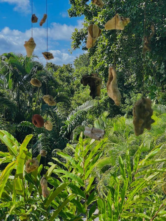 Les Jardins De L'Esperance Villa Bouillante Dış mekan fotoğraf